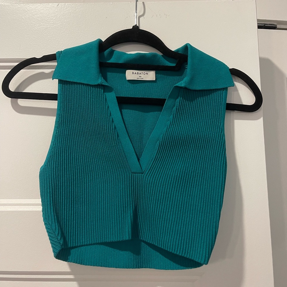 Aritzia Blue Ribbed Crop Top